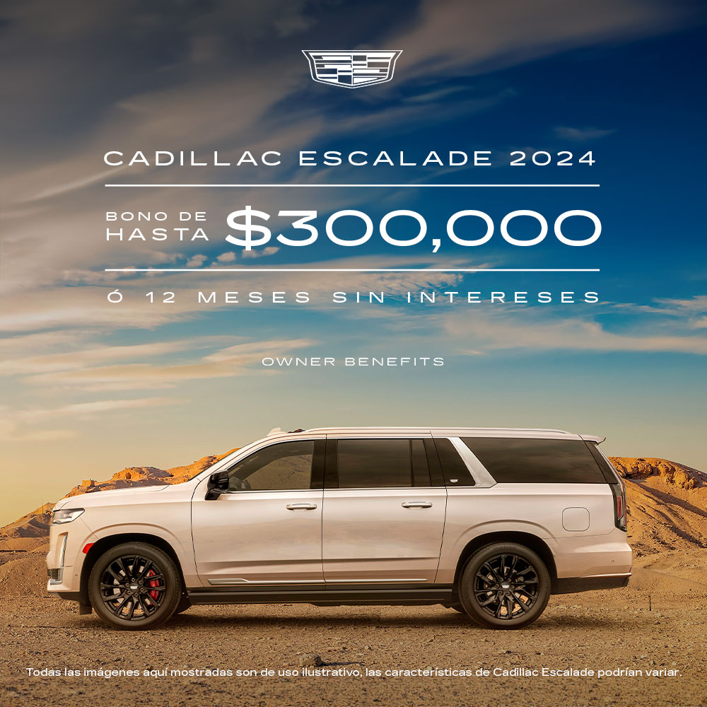 Nueva Envision 2024
